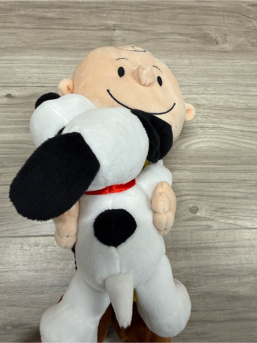 Hallmark Peanuts Snoopy And Charlie Brown Plush